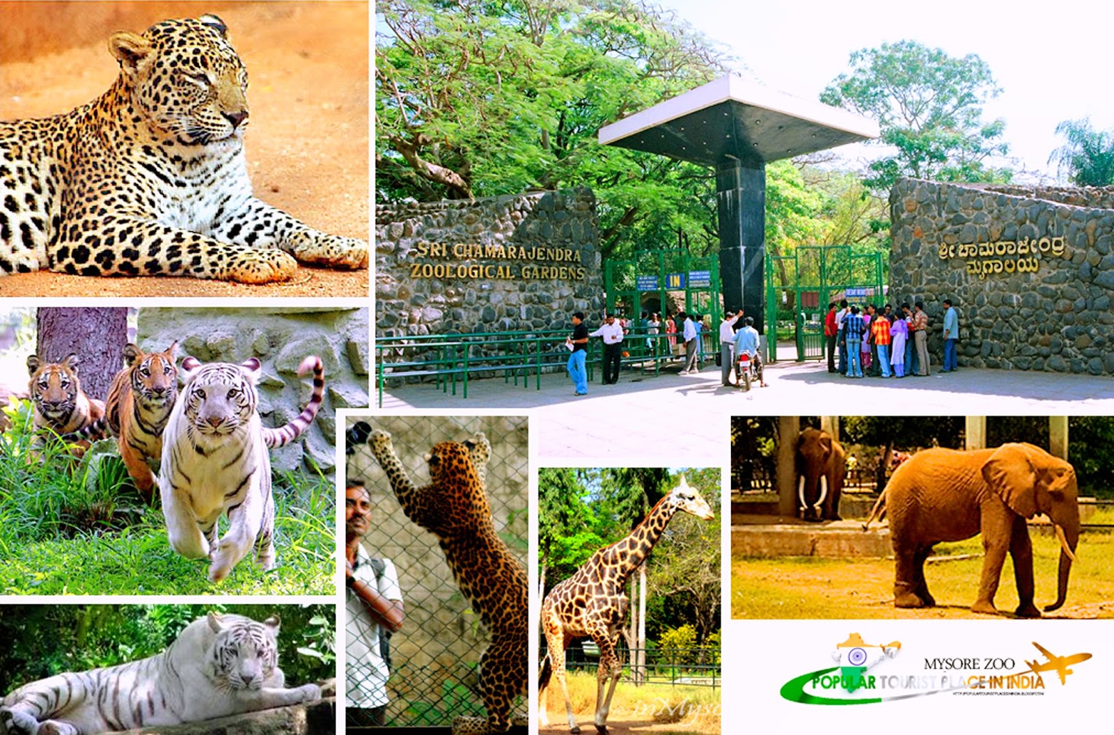 Mysuru Zoo